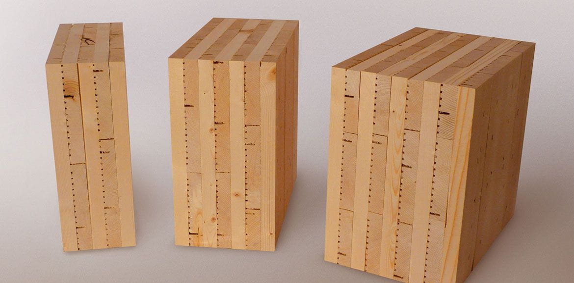 tetti in legno strutturale